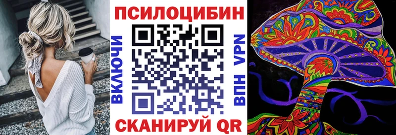 Галлюциногенные грибы MAGIC MUSHROOMS  наркота  Староминская 